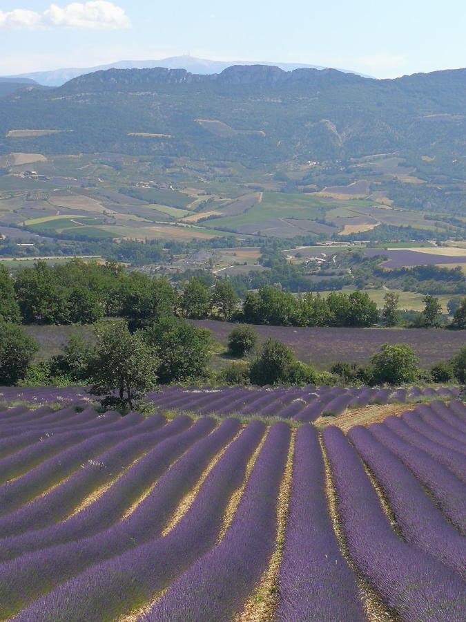 Hotel Mas En Baronnies Provencales Eygaliers  Zewnętrze zdjęcie