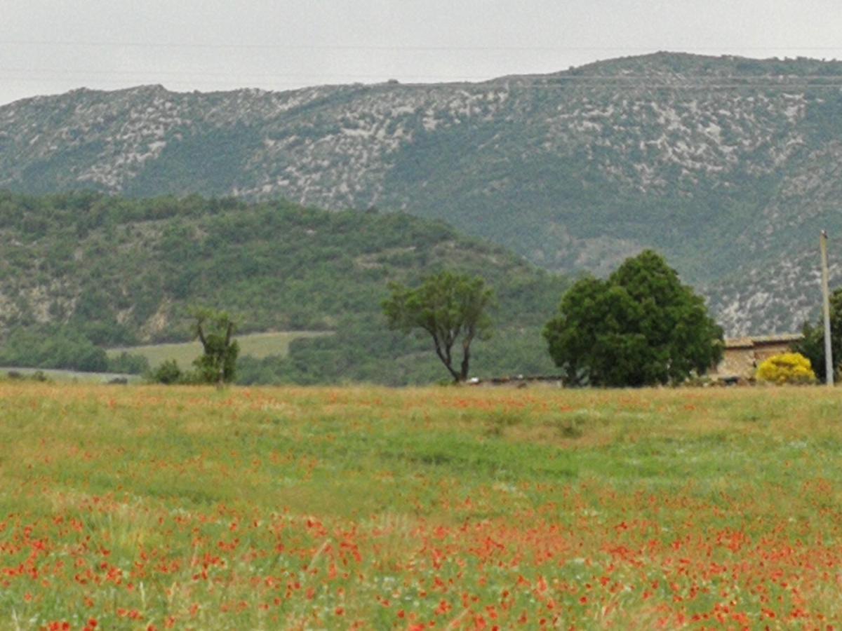 Hotel Mas En Baronnies Provencales Eygaliers  Zewnętrze zdjęcie